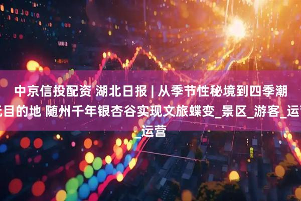 中京信投配资 湖北日报 | 从季节性秘境到四季潮玩目的地 随州千年银杏谷实现文旅蝶变_景区_游客_运营